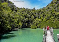 Parc naturel de Sungai Kilim 