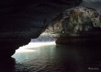 Parc naturel de Sungai Kilim 