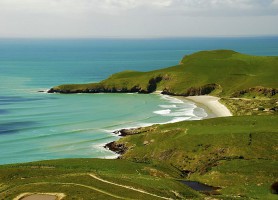 Péninsule d'Otago : une presqu’île aux traits irrésistibles