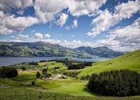 Péninsule d'Otago 