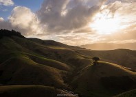 Péninsule d'Otago 