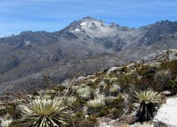 Pico Bolivar 