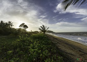 Plage de Montjoly : entre forêt luxuriante et longues plages dorées