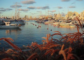Punta del Este : la belle ville côtière uruguayenne