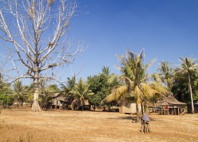 Ratanakiri : une merveille au cœur de l’univers cambodgien