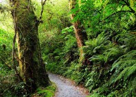 Routeburn Track 