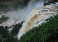 Saltos del Monday 