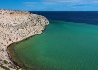 Baie Shark 