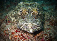 Sipadan 