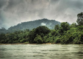 Taman Negara : au cœur de la jungle tropicale malaisienne