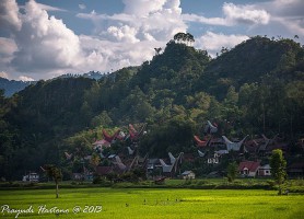 Tana Toraja : ville lumière culturellement dense