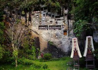 Tana Toraja 