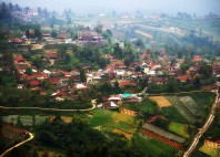 Tana Toraja 