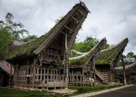 Tana Toraja 