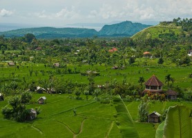 Tirta Gangga : la fantastique demeure de l’eau !