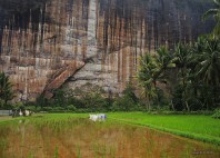 Vallée de Harau 