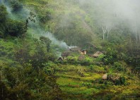 Vallée du Baliem 