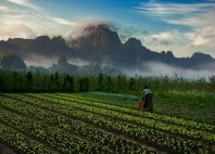 Vang Vieng 