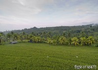 Village Mayong 
