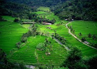 Village Mayong 
