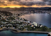 Wellington 