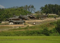 Yangdong 