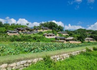 Yangdong 