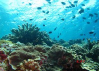 Île Bunaken 