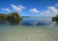 Île Fraser 