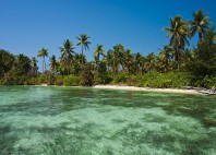 Île Menjangan 