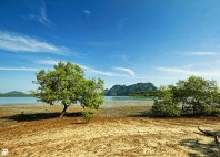 Île de Koh Lanta 