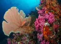 Îles Similan 
