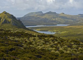 Îles sub-antarctiques de Nouvelle-Zélande : les captivantes îles du Pacifique