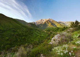 Réserve naturelle Aksou-Jabagly : un site touristique de premier ordre