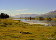 Parc national Altai Tavan Bogd 