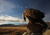 Parc national Altai Tavan Bogd 