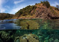 Apo Reef 