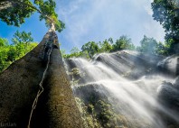 Chutes de Tumalog 