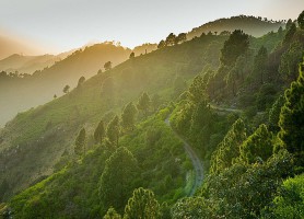 Collines de Margalla : la vallée du bonheur