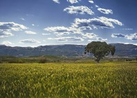 Collines de Margalla 