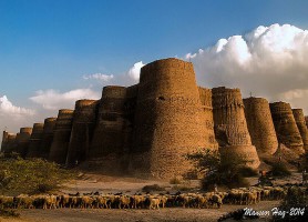 Désert du Cholistan : l’habitat des grandes sensations
