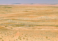 Désert du Kyzylkoum 