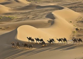 Dunes de Khongor : les fantastiques mamelles de sable