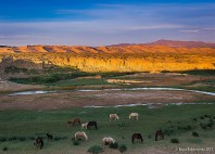 Dunes de Khongor 