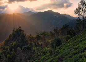 Ella : découvrez le beau petit village sri-lankais