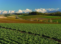 Hokkaido 