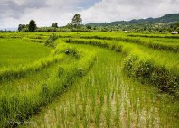 Hsipaw 