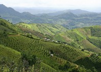 Kalaw 