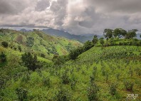 Kalaw 