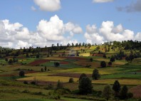Kalaw 